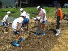 服間小学校4年生の子供達が大豆の種まきをしました_e0061225_14344542.jpg