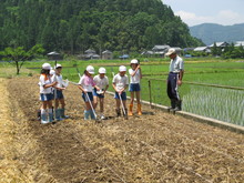 服間小学校4年生の子供達が大豆の種まきをしました_e0061225_143448.jpg