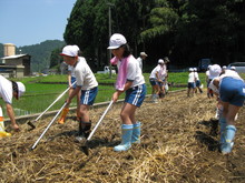 服間小学校4年生の子供達が大豆の種まきをしました_e0061225_14351237.jpg