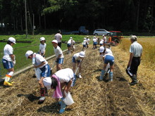 服間小学校4年生の子供達が大豆の種まきをしました_e0061225_1435396.jpg