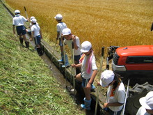 服間小学校4年生の子供達が大豆の種まきをしました_e0061225_14402749.jpg