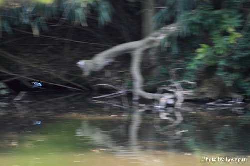 c0136926_7591034.jpg