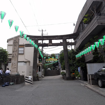 あじさいまつり・白山神社 - 東京都文京区白山_c0162826_21115546.jpg