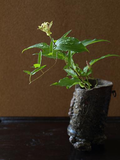 20100608.jpg