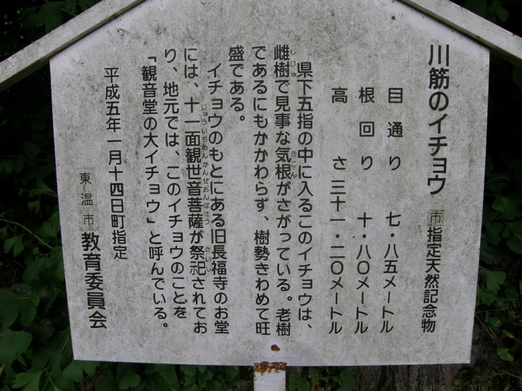 c0141933_2357311.jpg