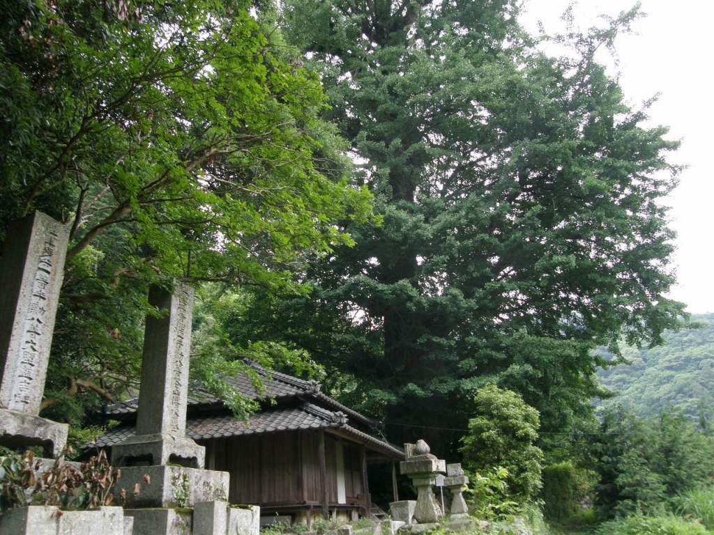 c0141933_23575785.jpg
