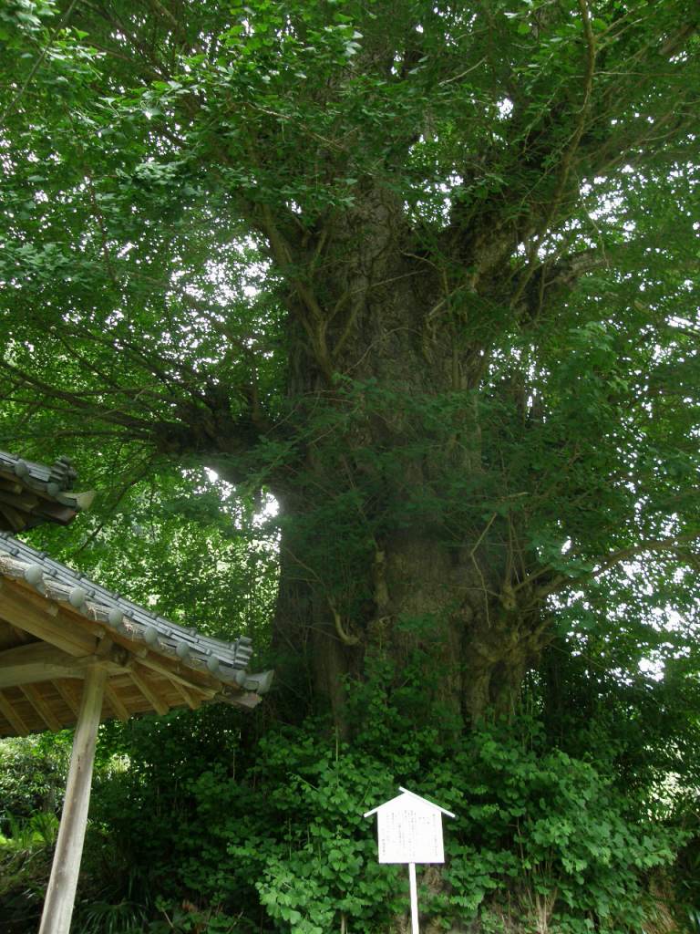 c0141933_235839100.jpg