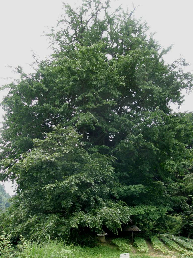 c0141933_23591843.jpg