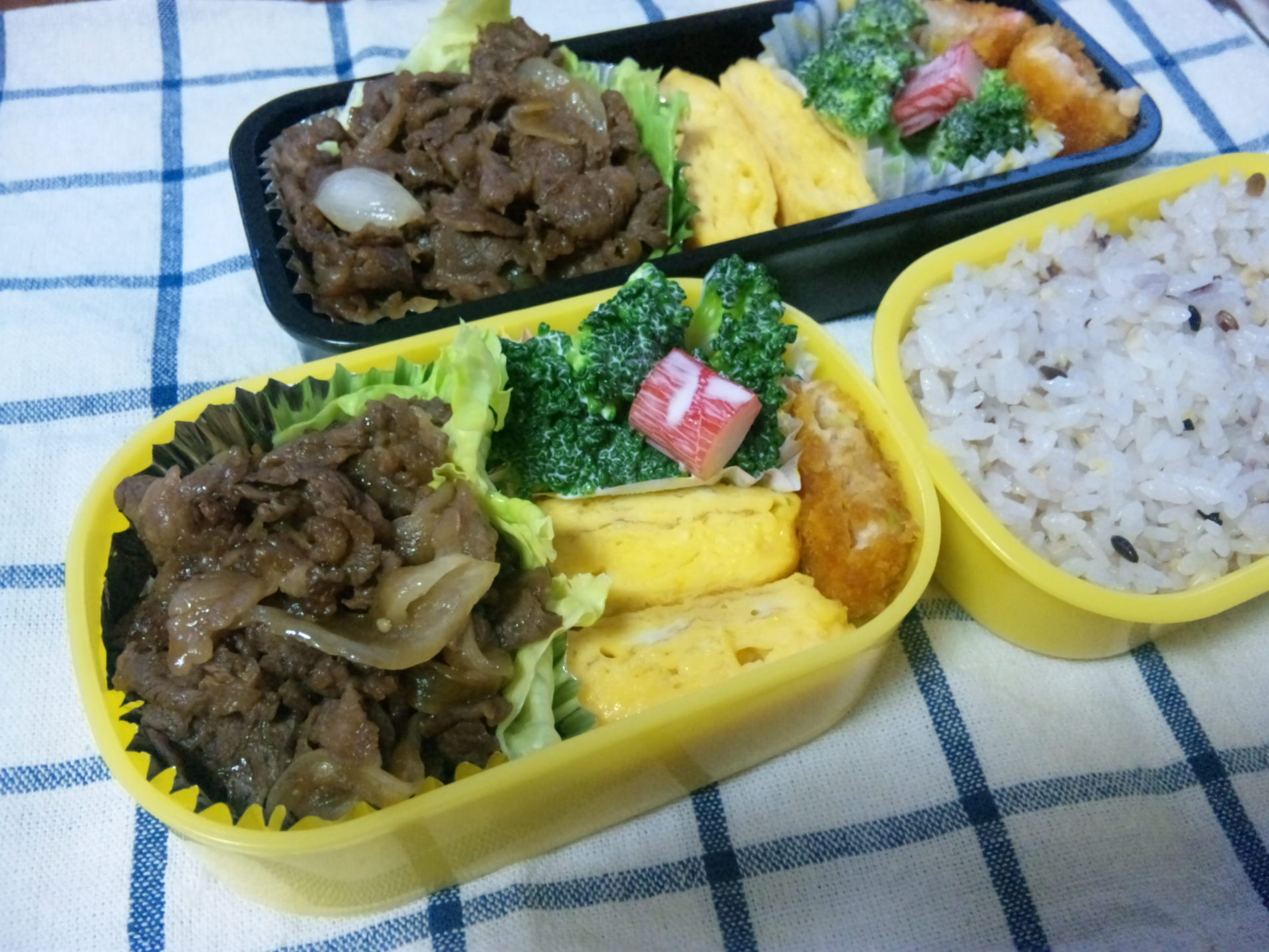 ５月２８日のお弁当_b0137234_10232988.jpg