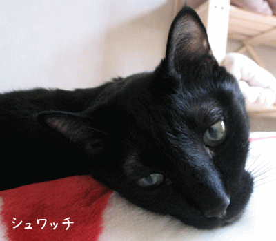 a0166338_18255287.gif