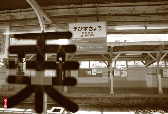 大阪遠足ツアー ・ 乗り鉄、撮り鉄の巻_c0187744_19132685.jpg