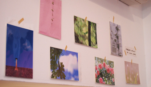 cocoaTシャツ展2010 初日_a0043747_162011.jpg