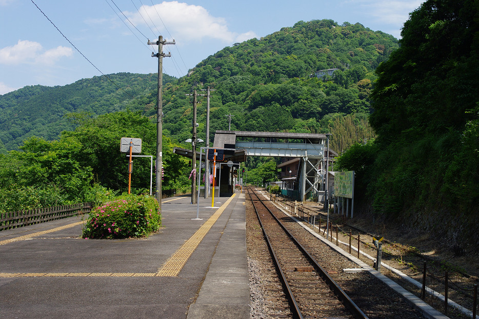 f0152550_21321567.jpg