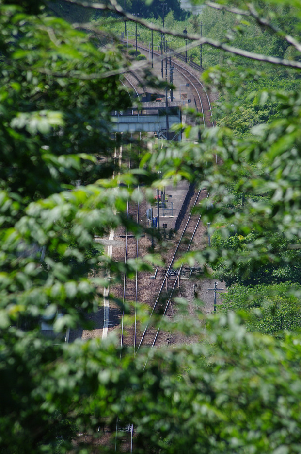 f0152550_21323247.jpg