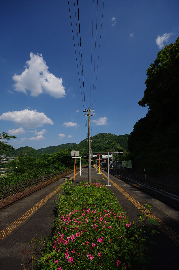 f0152550_21335541.jpg