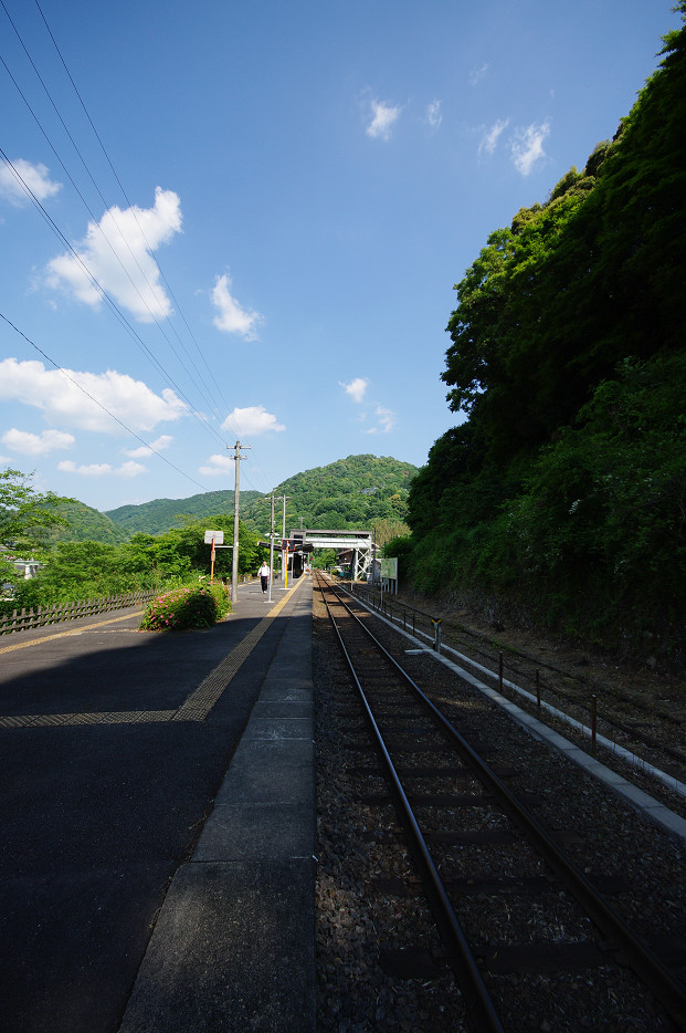 f0152550_21341345.jpg