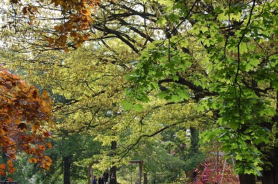 ご近所、公園巡り２。_e0134052_22203991.jpg