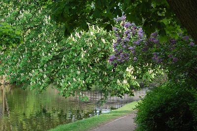 ご近所、公園巡り２。_e0134052_2222573.jpg