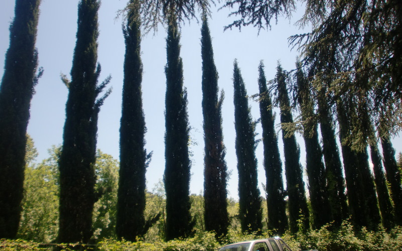 f0203253_16125432.jpg