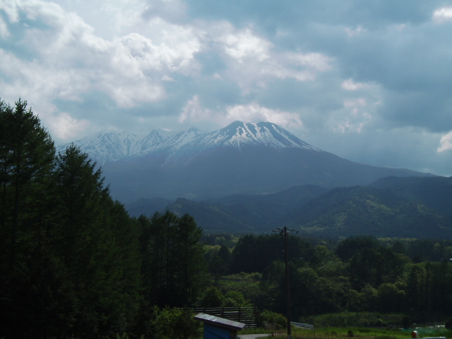 f0145963_07433.jpg