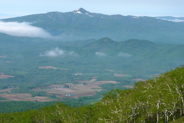 6月「羊蹄山」」真狩コースの様子 A_e0122168_22234881.jpg