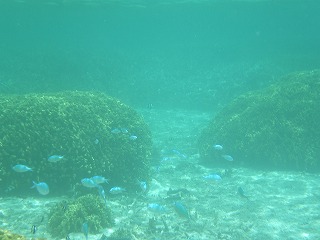 b0056570_11538.jpg