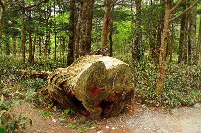 f0182173_10361180.jpg