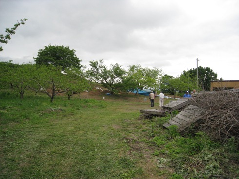 a0087378_59502.jpg