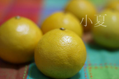a0128290_01067.jpg