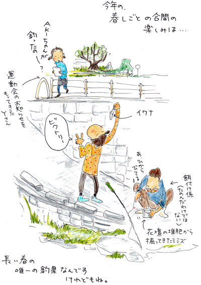 f0236291_10342040.gif