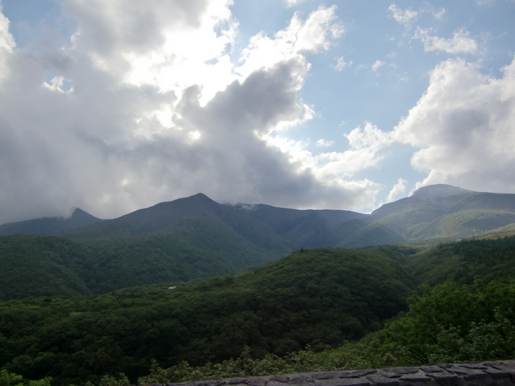 b0029694_80352.jpg