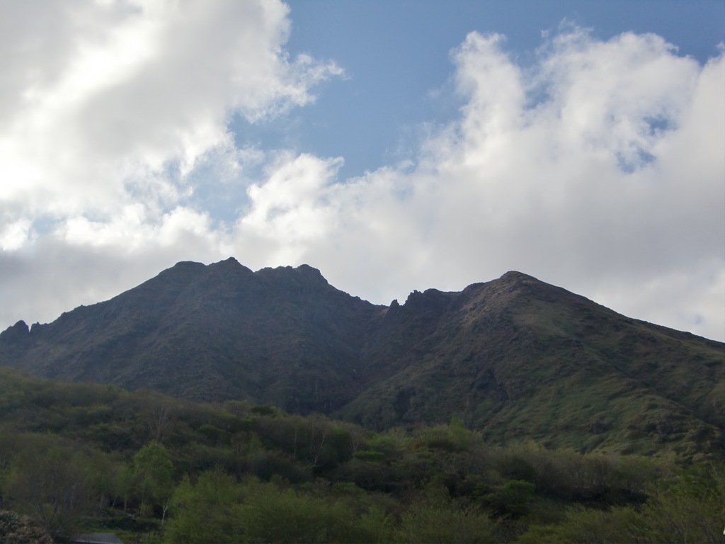 b0029694_81421.jpg
