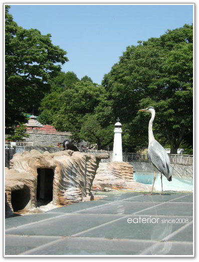 『アシカクイズ♪』 東山動植物園vol.29_b0142197_10162026.jpg