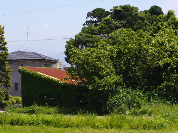 公園にて_e0092097_2049258.jpg