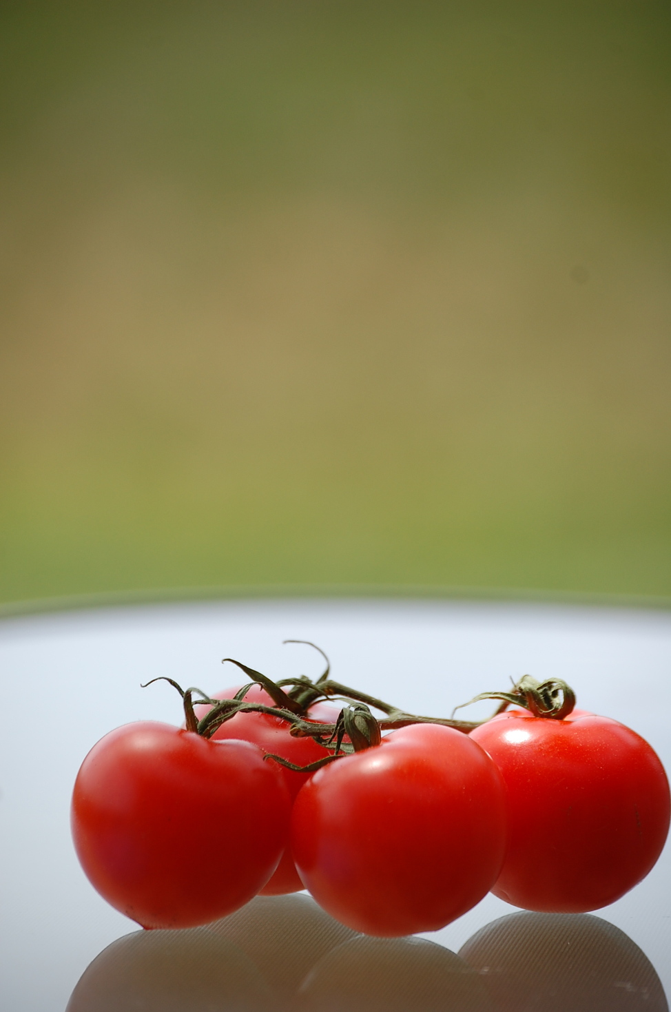 可愛いだけじゃないのよカンパリトマト Vegefru Talk 可愛いだけじゃないのよカンパリトマト Vegefru Talk