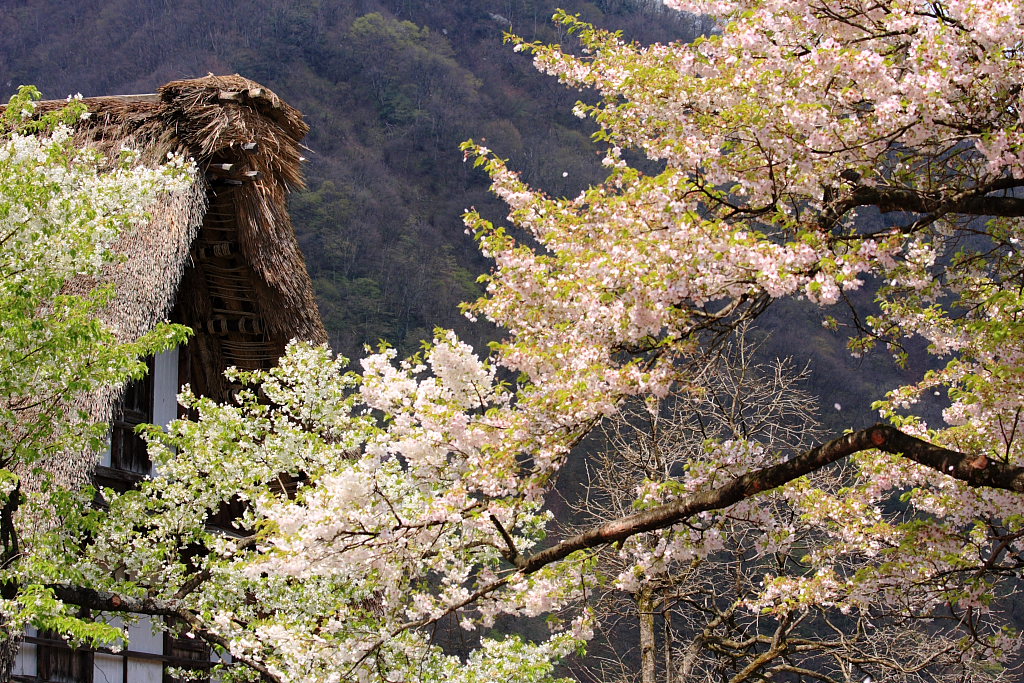 小さな世界遺産の村_b0116600_23282988.jpg