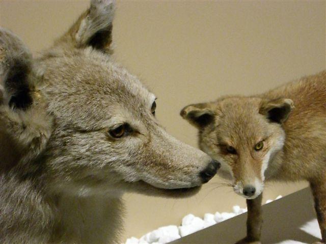 a0057402_845374.jpg