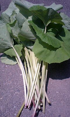 c0163102_2124724.jpg
