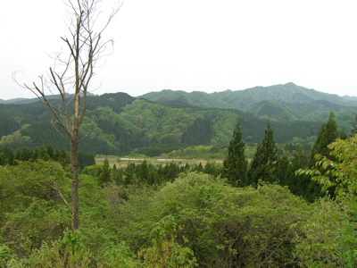 5月の窓山_f0090602_15595249.jpg