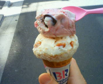 アイスクリーム♪ ユースクリーム♪_c0183104_15305959.jpg