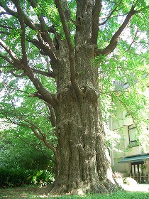 c0187004_20531038.jpg