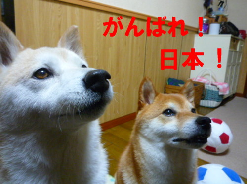 e0131506_0162486.jpg