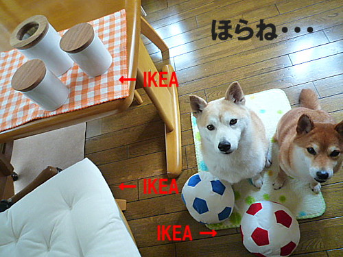 e0131506_0444724.jpg