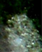 e0103408_12241467.gif