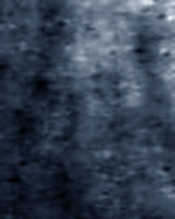 e0103408_12391968.gif