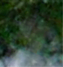 e0103408_12395090.gif