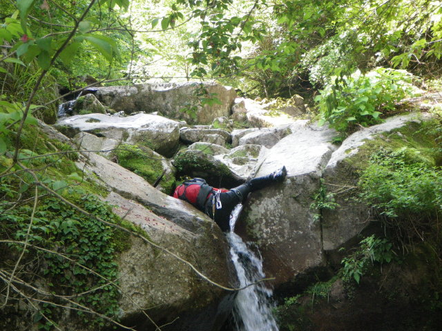 d0006512_22395634.jpg