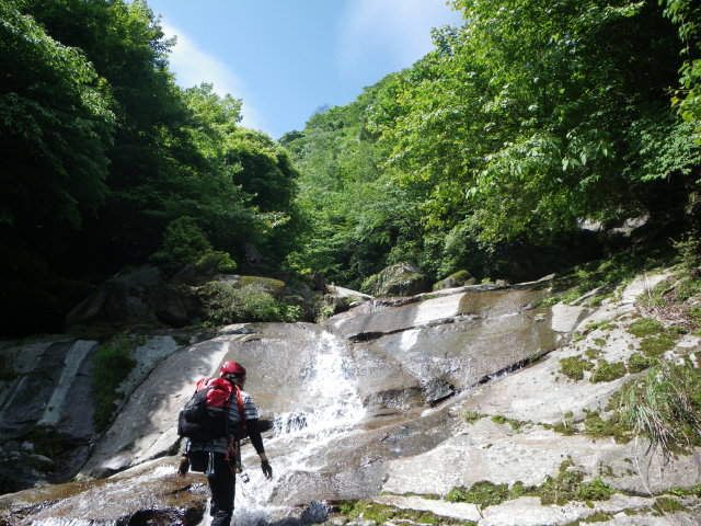 d0006512_224221.jpg