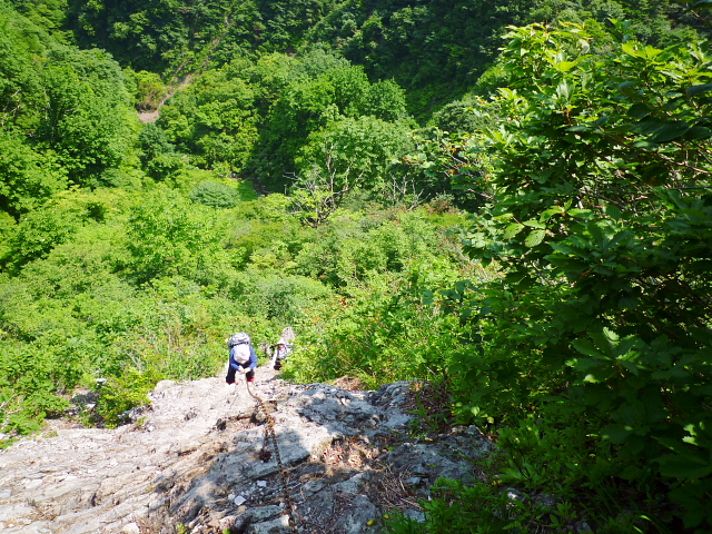 個人山行　医王山（いおうぜん）939.1Ｍ_d0170615_22311628.jpg