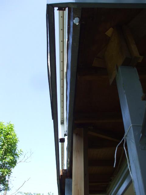 b0096418_203575.jpg